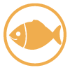 May contain traces of Fishes and Fish products